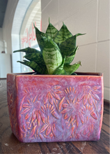 Load image into Gallery viewer, Planter Class
