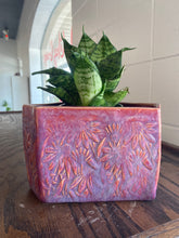 Load image into Gallery viewer, Planter Class