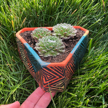 Load image into Gallery viewer, Planter Class