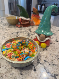 Family Gnomes